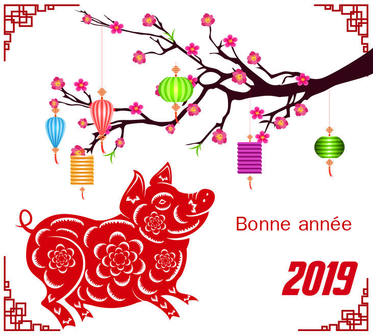 Nouvel an chinois - Année du cochon - Beijing Cursus